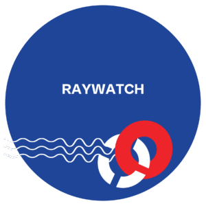 Raywatch